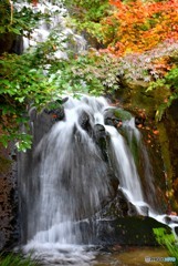 三景園の紅葉４