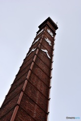 西条酒まつり２