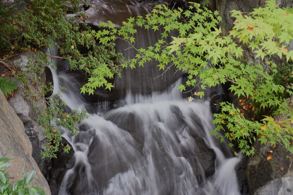 三景園　2022秋　４