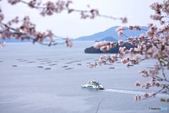 海が見える丘　９