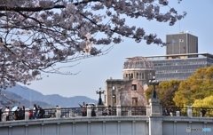 平和記念公園の桜　２