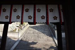 おのみち初詣　３