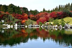 三景園の紅葉　２