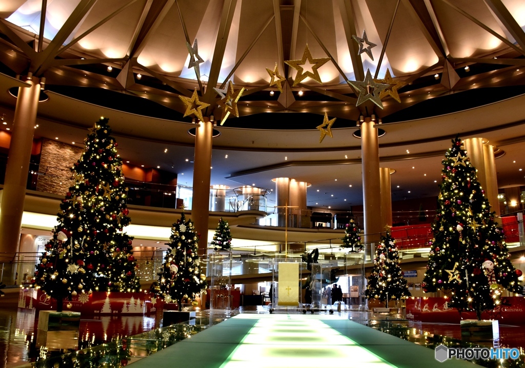 クリスマスツリー　２