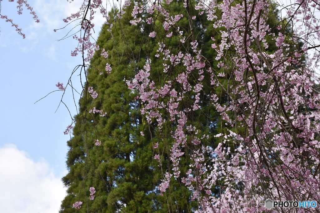 甲山ふれあいの里　３