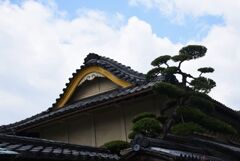 たけはら☆2022夏　4