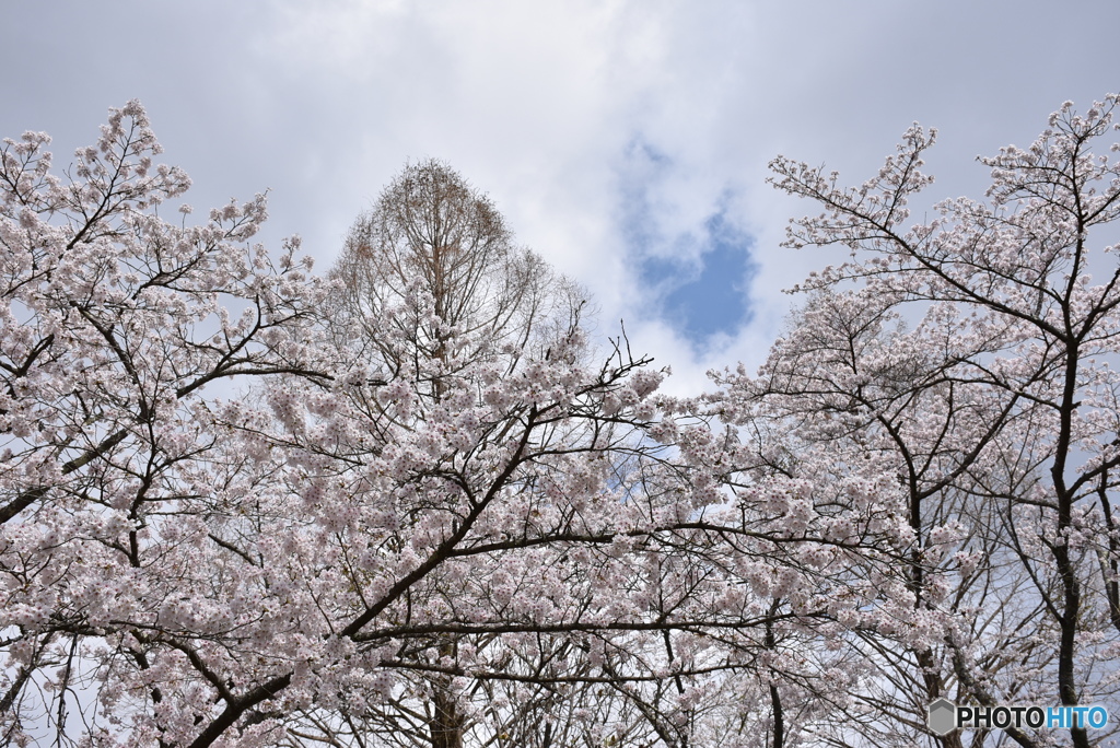 甲山ふれあいの里　５
