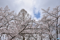 甲山ふれあいの里　５