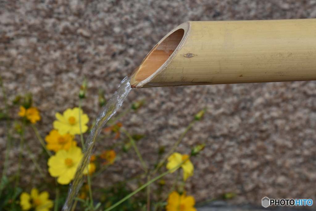 西条酒まつり４