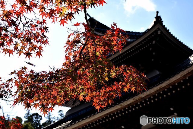 佛通寺の紅葉　７