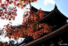 佛通寺の紅葉　７