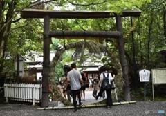 茅の輪くぐり　４