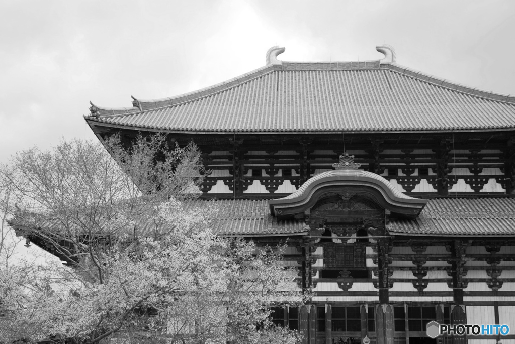 東大寺　大仏殿