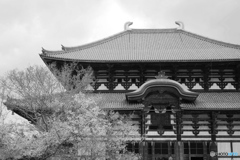 東大寺　大仏殿