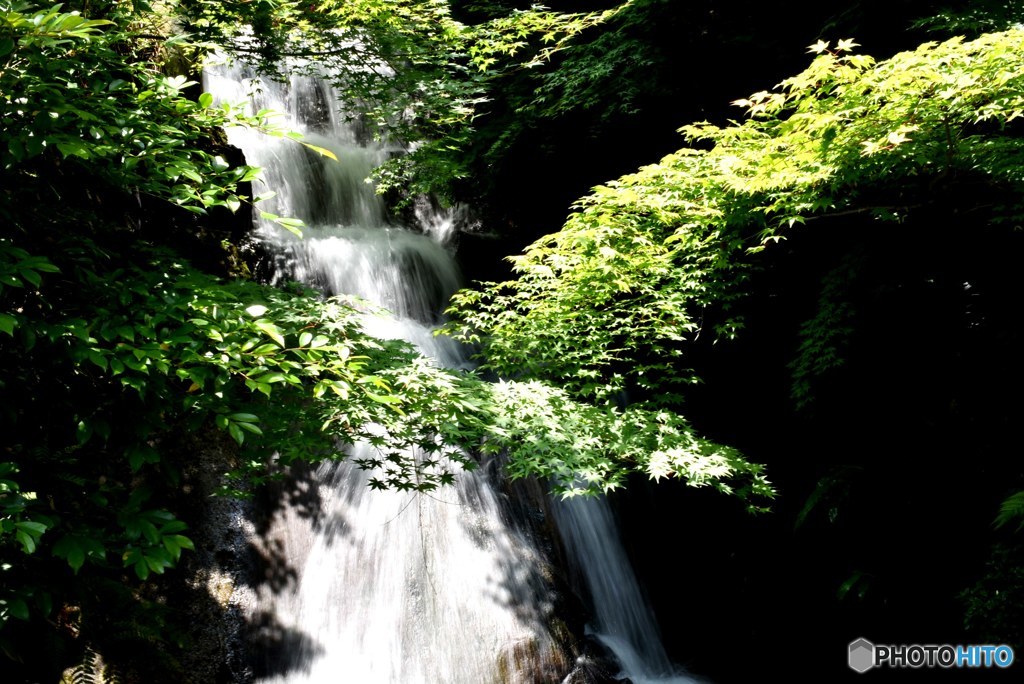 新緑の三景園　Ⅱ