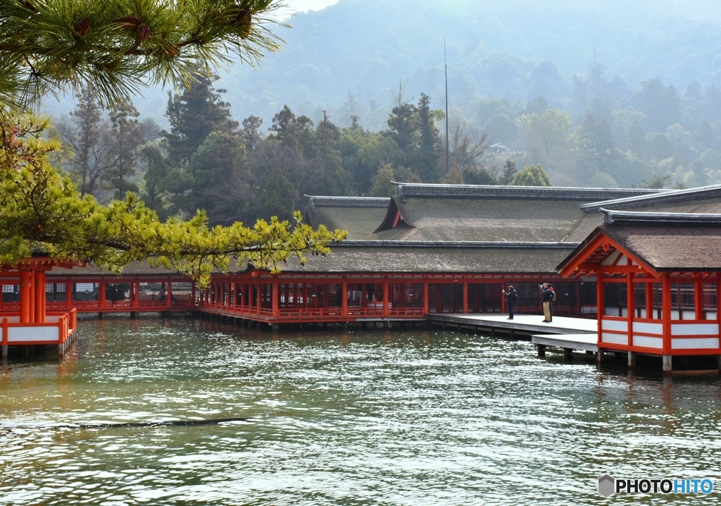 厳島神社　