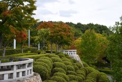 広島空港にて 13
