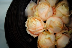 バラ・薔薇　８