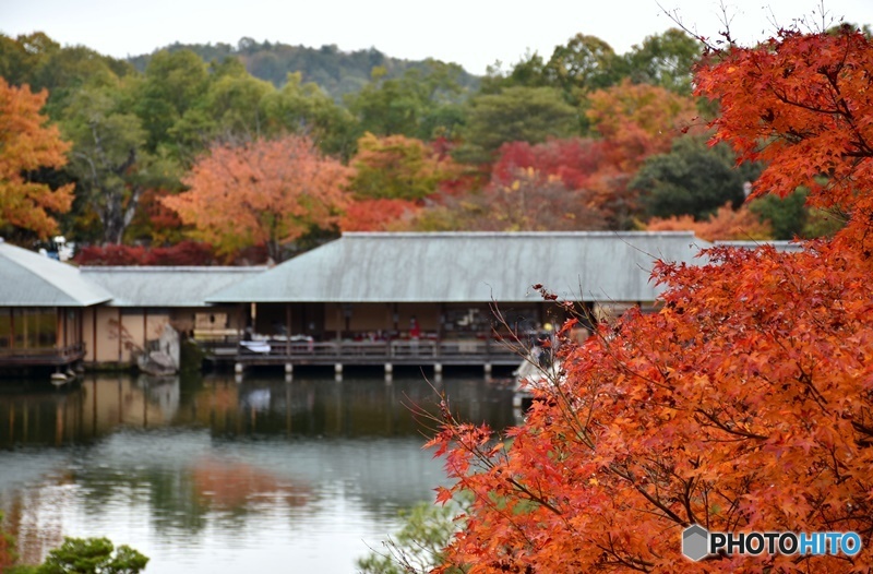 三景園の紅葉　７