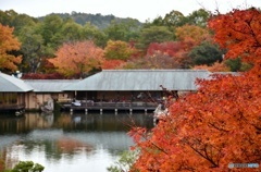 三景園の紅葉　７