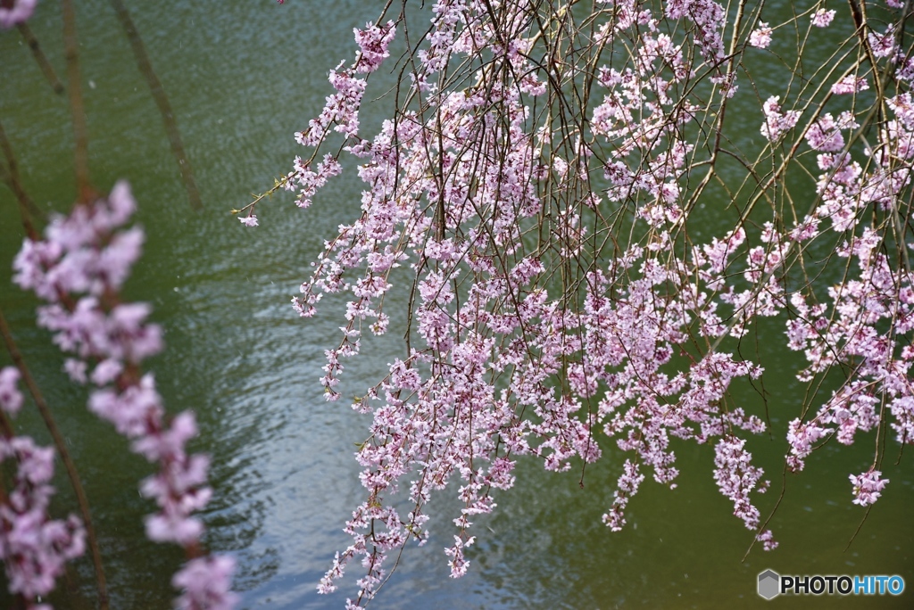 甲山ふれあいの里　７