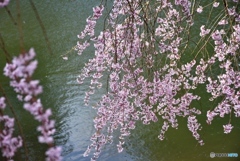 甲山ふれあいの里　７