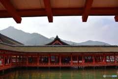 厳島神社　Ⅶ