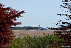 広島空港にて　２