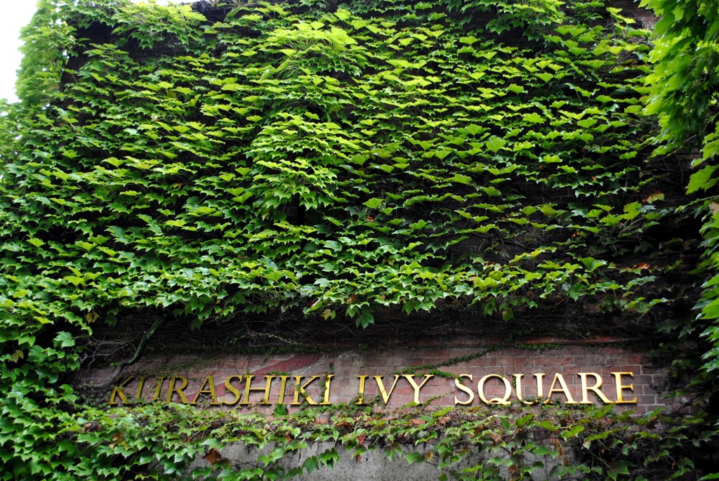 倉敷　ＩＶＹ　ＳＱＵＡＲＥ