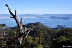宮島弥山４