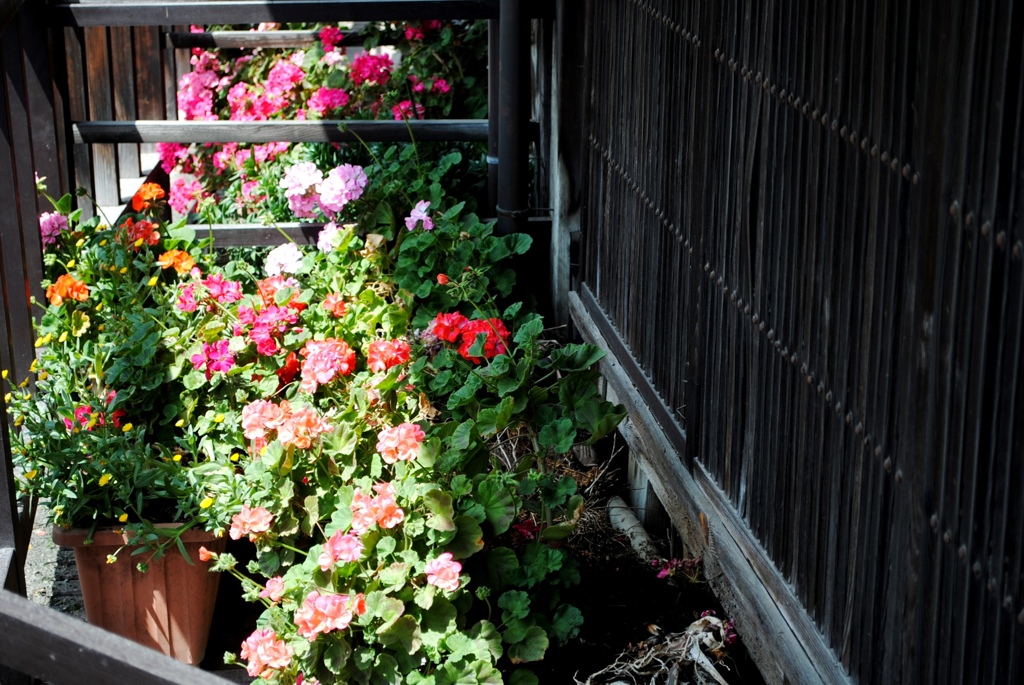 柔らかな光　３