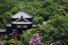 たけはら☆2022夏　10