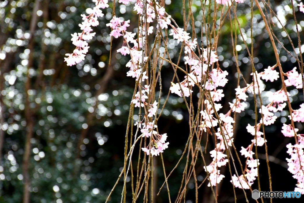 甲山ふれあいの里　８
