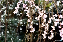 甲山ふれあいの里　８