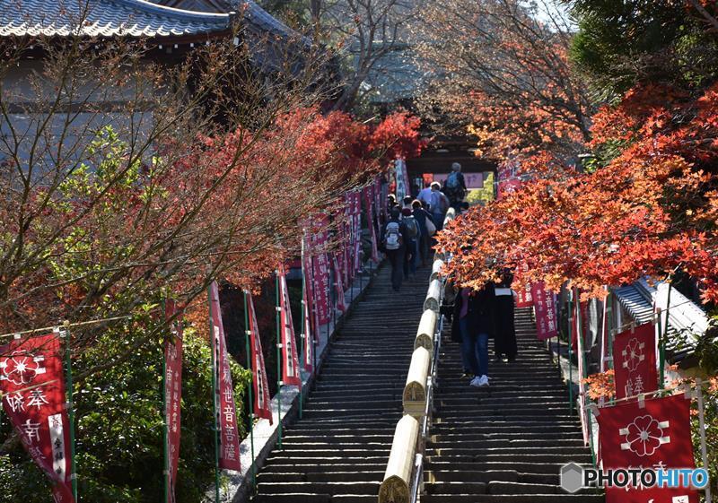 秋の宮島　１６