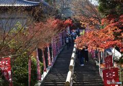 秋の宮島　１６