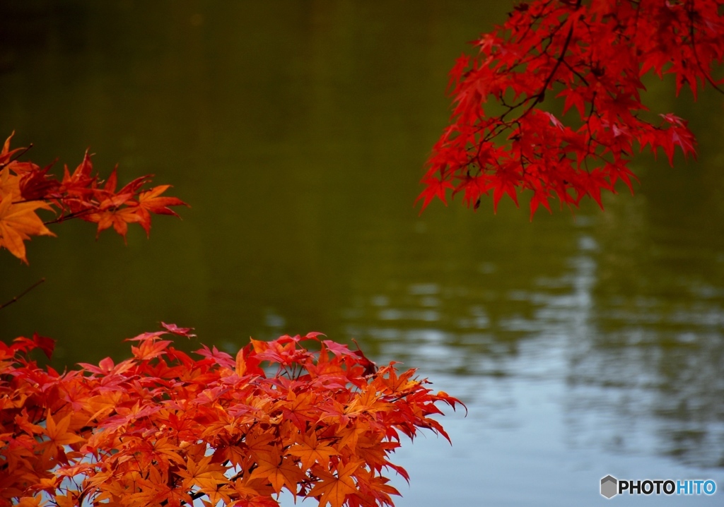 縮景園にて　７