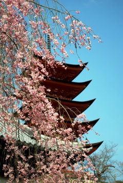 厳島神社五重塔