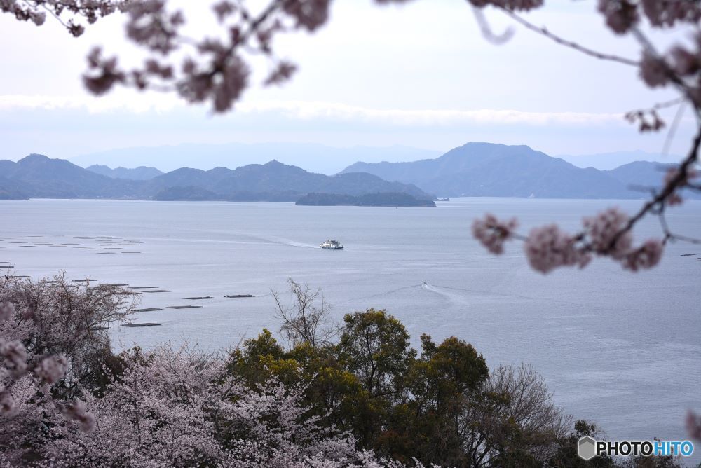 海が見える丘　６