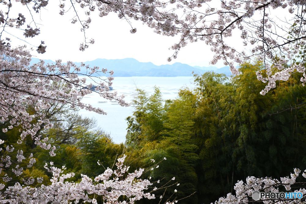 海が見える丘　２