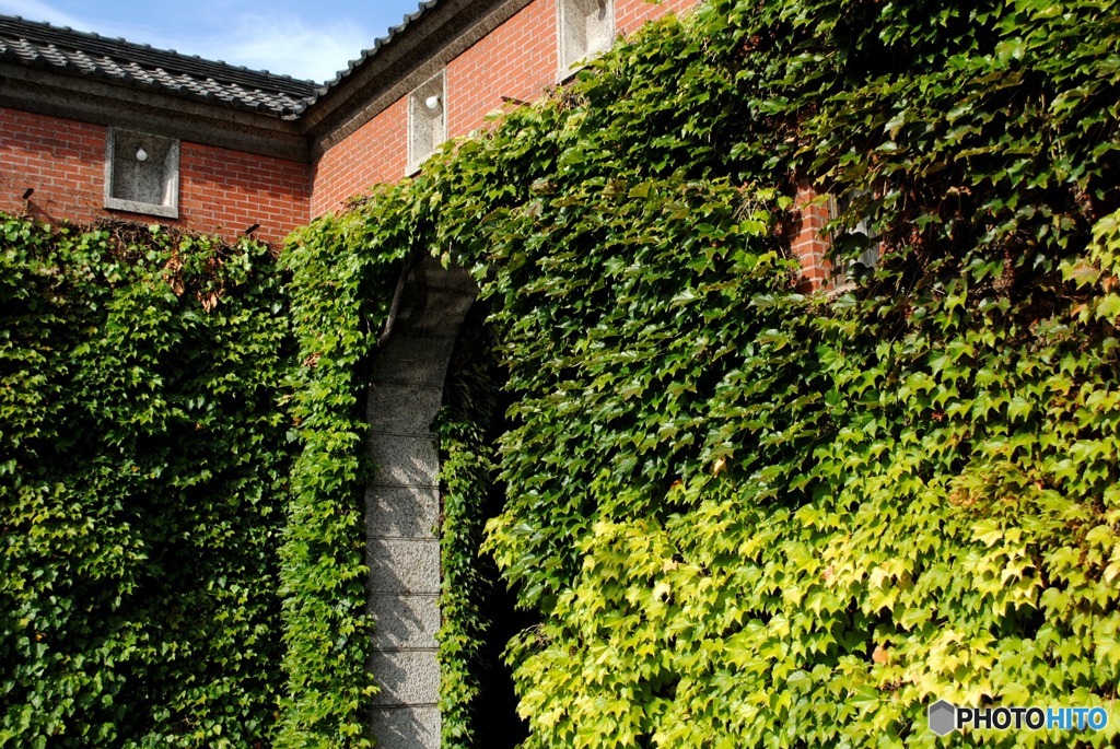 アイビースクエアー