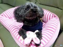 ジジは元気です！　６