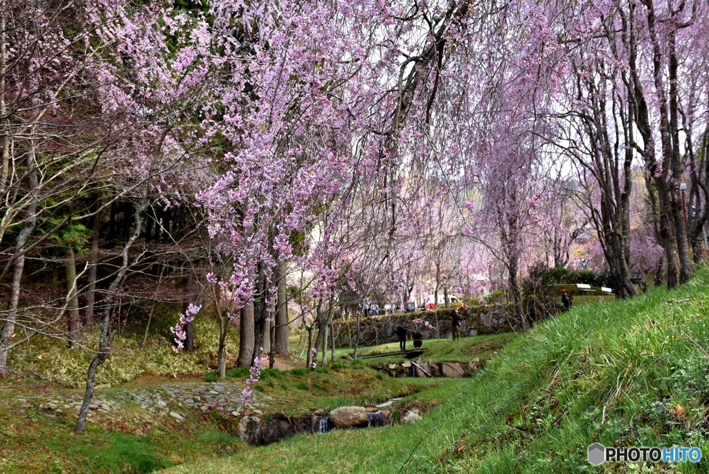 甲山ふれあいの里　２