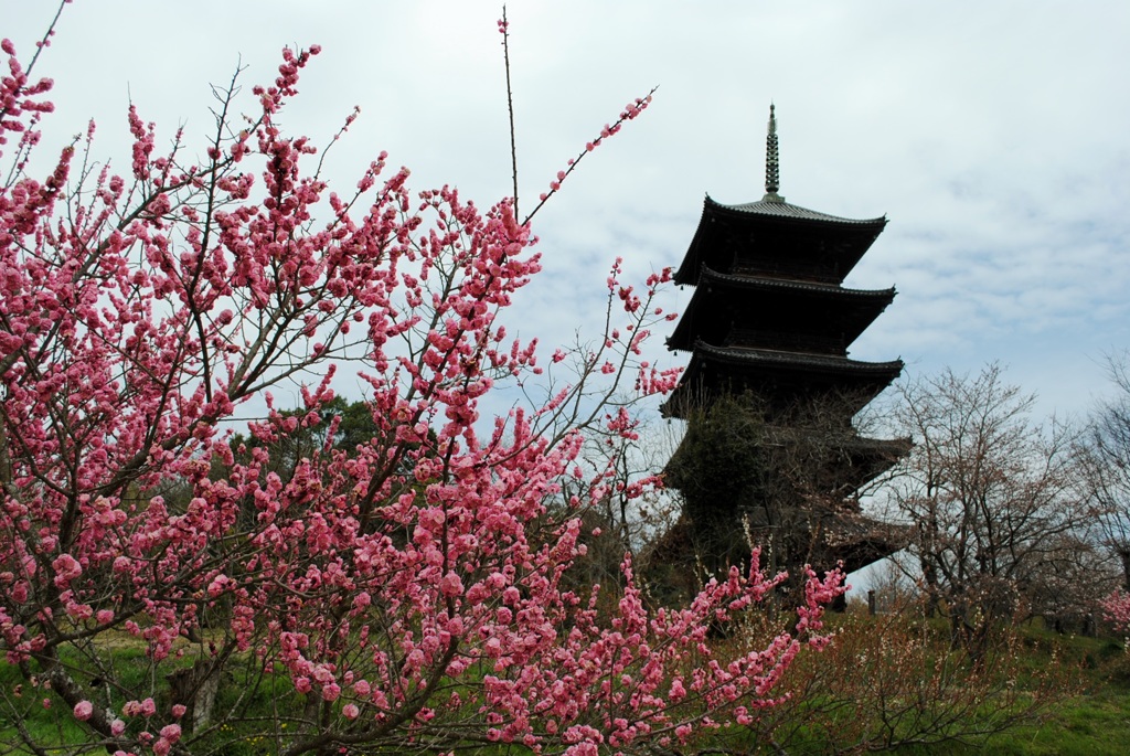 塔のある風景　１