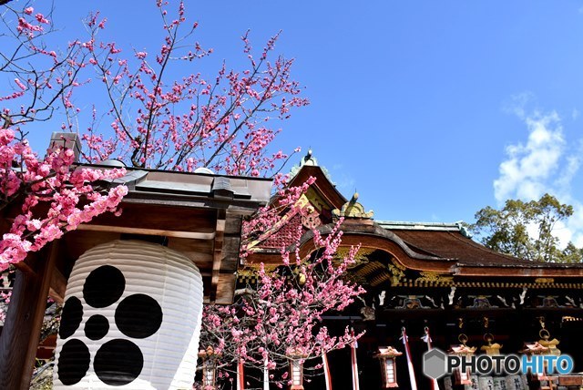 北野天満宮　３