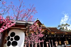 北野天満宮　３