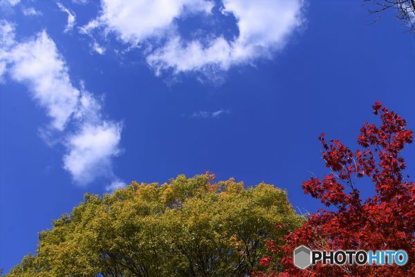 三景園の紅葉　５