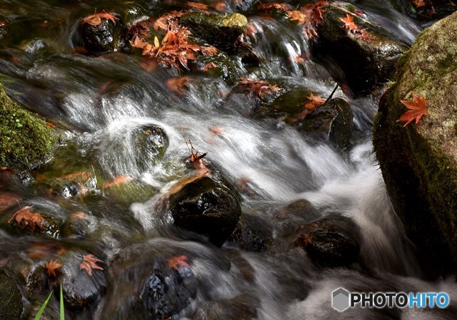 三景園の紅葉　１８