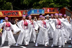 きんさいYOSAKOI　３