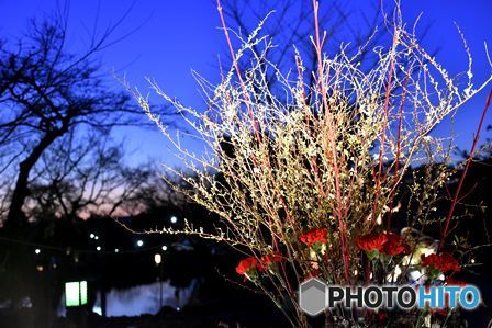 東山☆花灯路　４